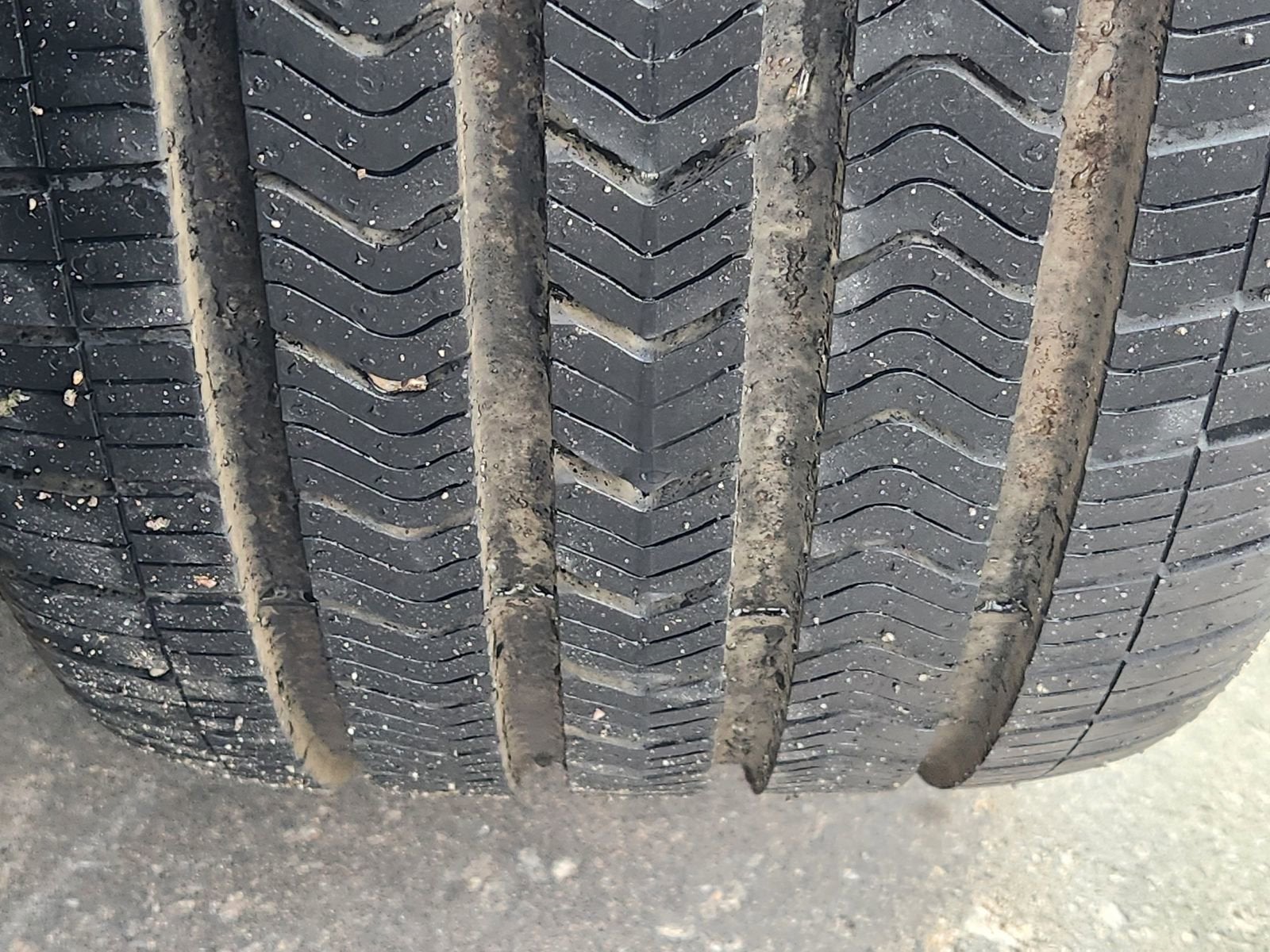 2023 Ford Mustang EcoBoost